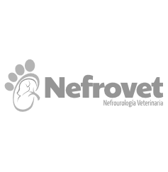 NEFROVET